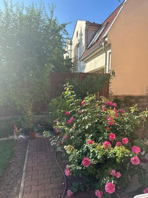 Family-Friendly Prague 5 Stay Exterior photo